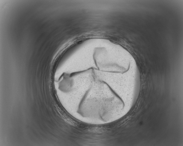 X0000080200293200701051756