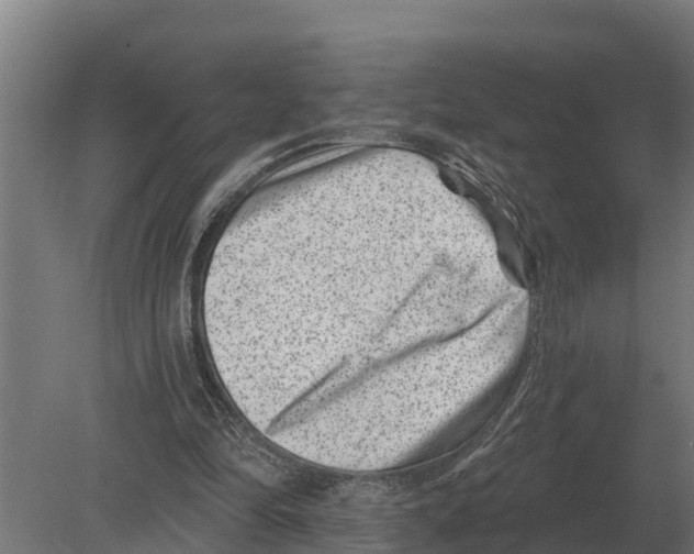 X0000080200294200701051756