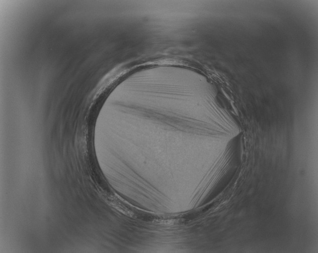 X0000080200295200701051756