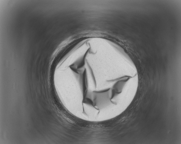 X0000080200296200701051756