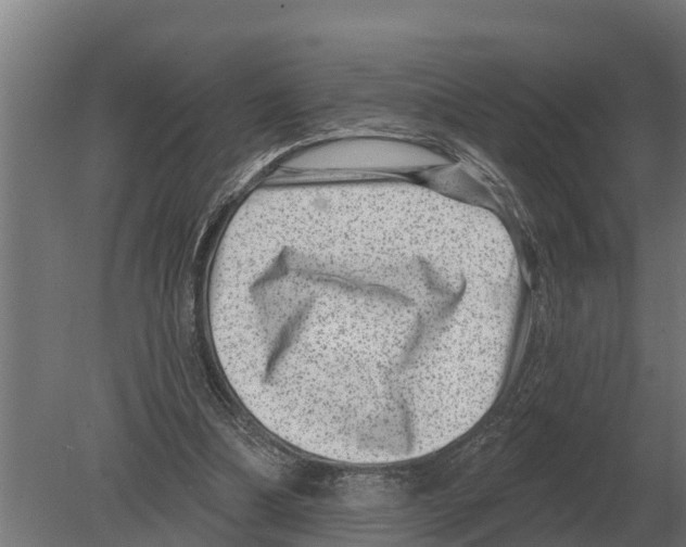 X0000080200298200701051756