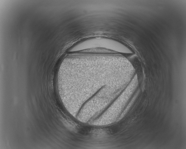 X0000080200299200701051756