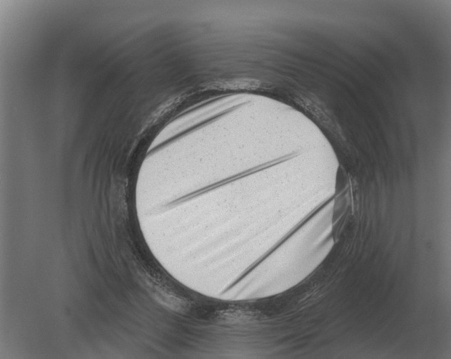 X0000080200300200701051756