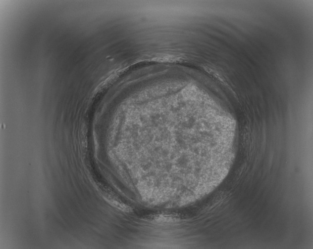 X0000080200303200701051756