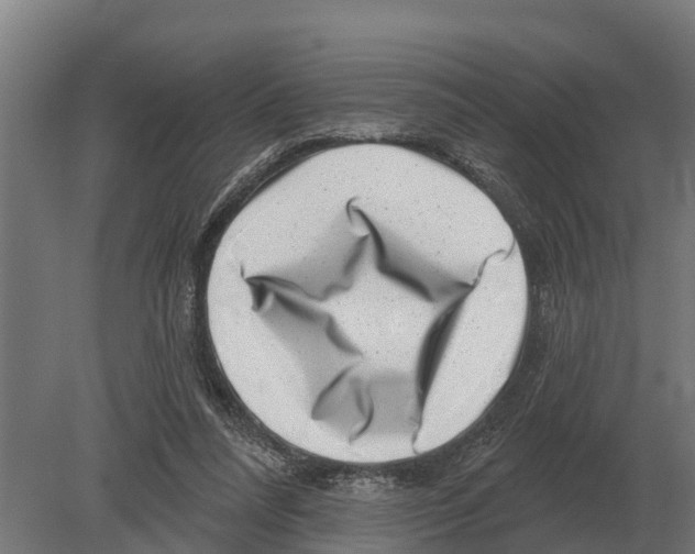 X0000080200304200701051756