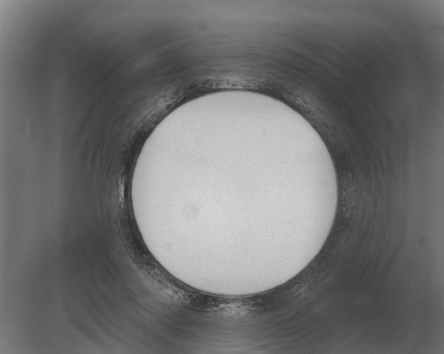 X0000080200310200701051755