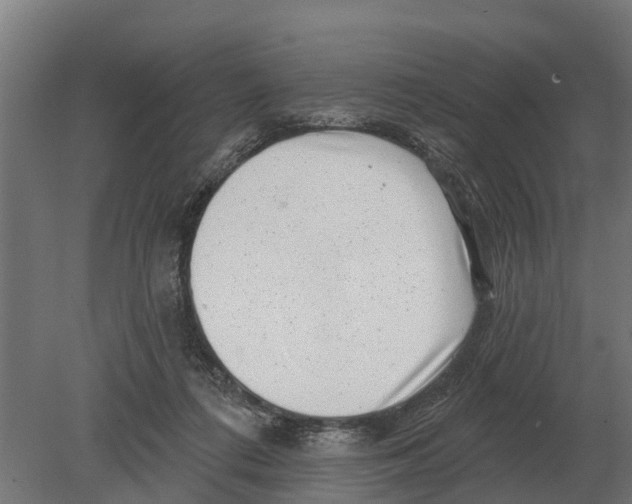 X0000080200312200701051755