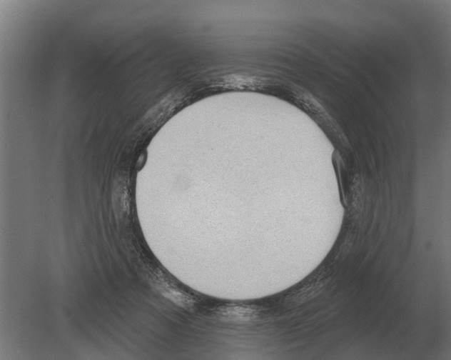 X0000080200313200701051755