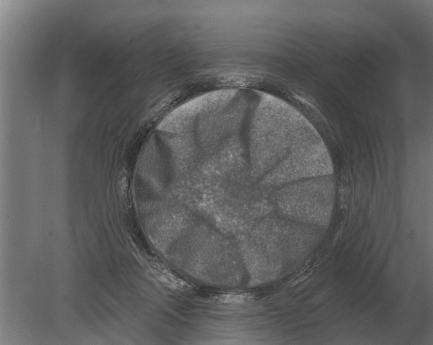 X0000080200314200701051755