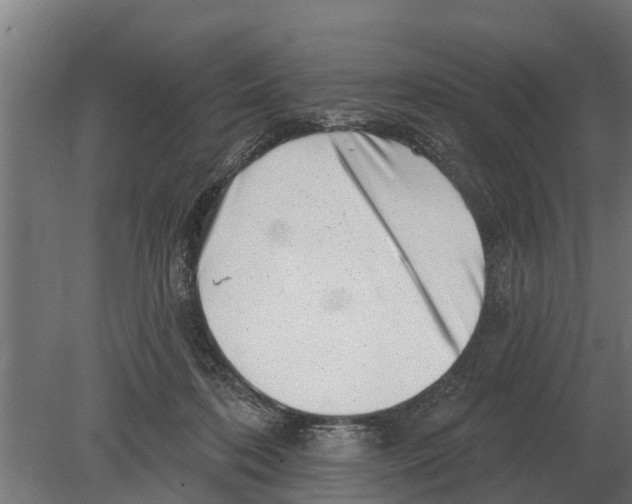 X0000080200316200701051755