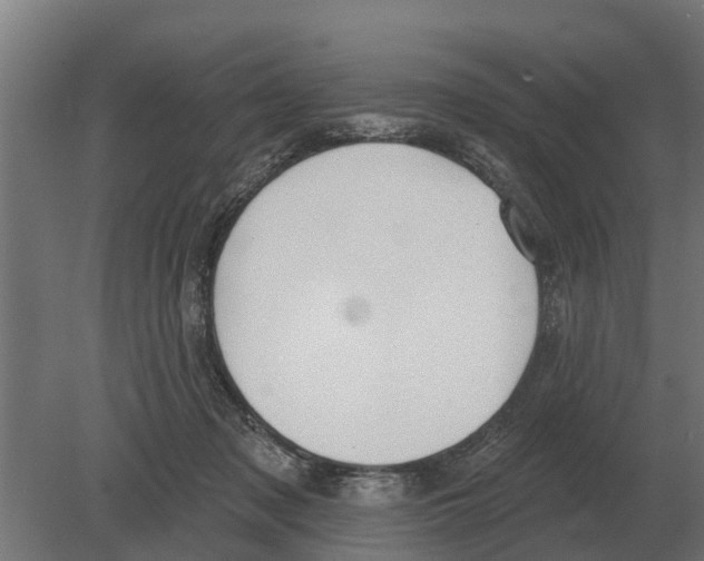 X0000080200317200701051755