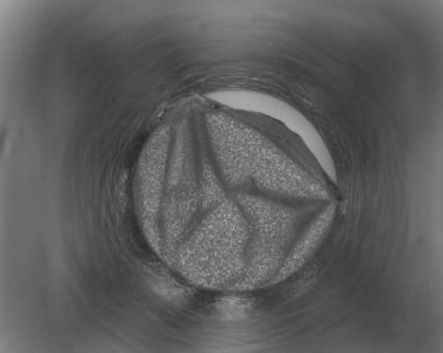 X0000080200319200701051755