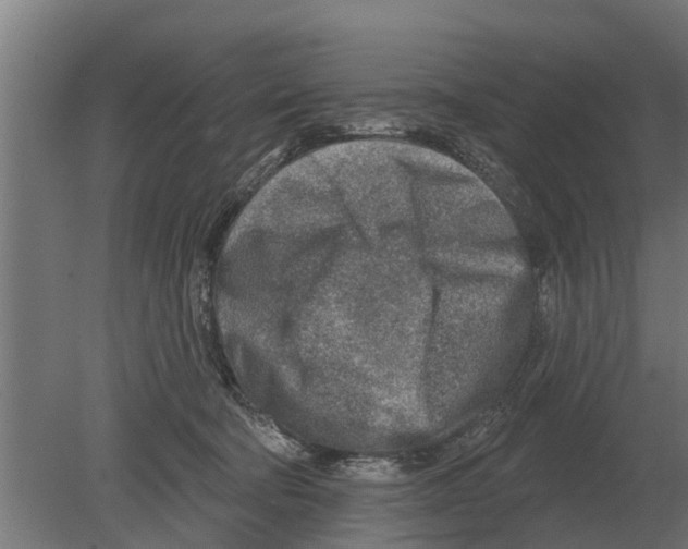 X0000080200322200701051755