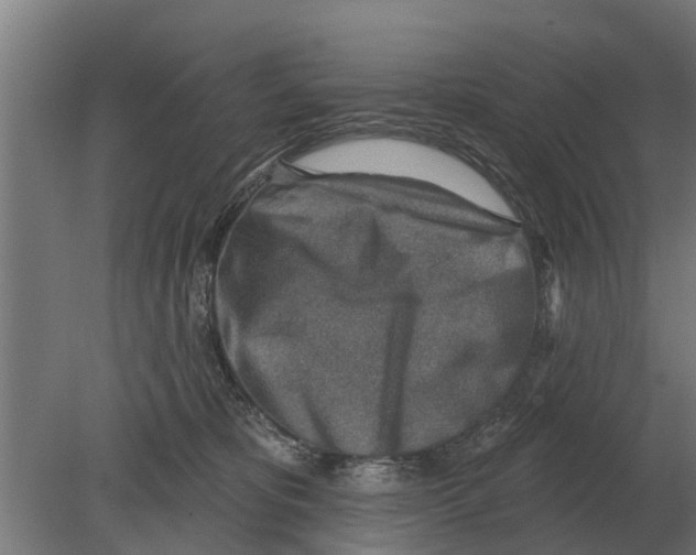 X0000080200325200701051755