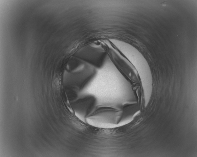 X0000080200329200701051755