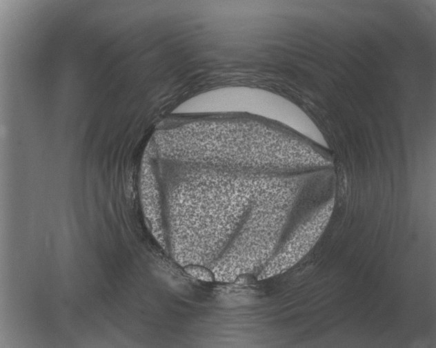 X0000080200331200701051755