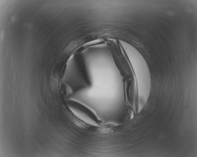 X0000080200333200701051755