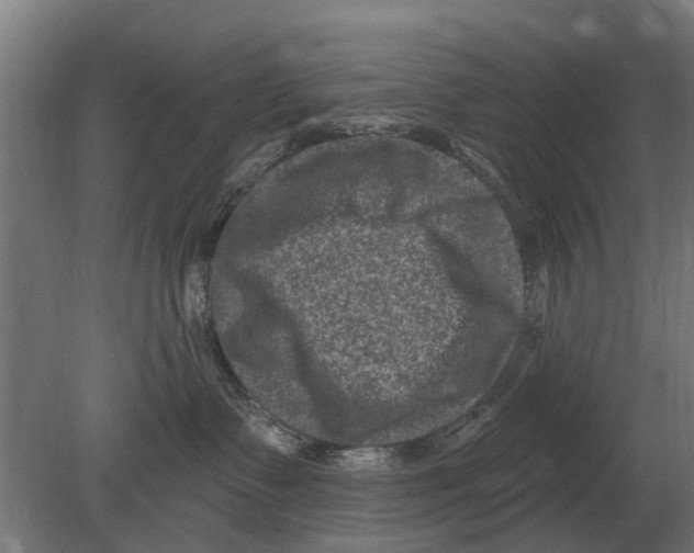 X0000080200335200701051755