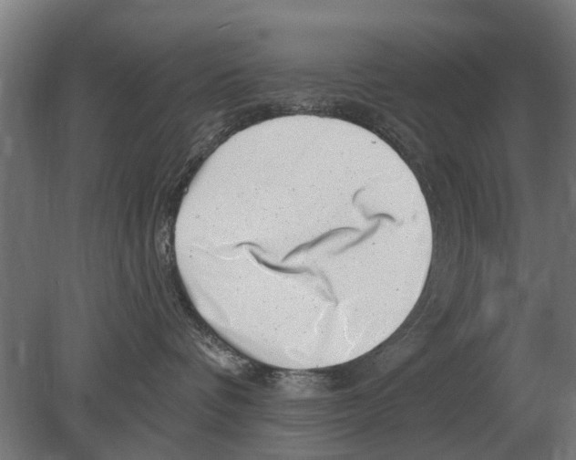 X0000080200336200701051755