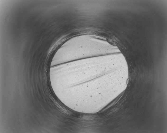 X0000080200341200701051754