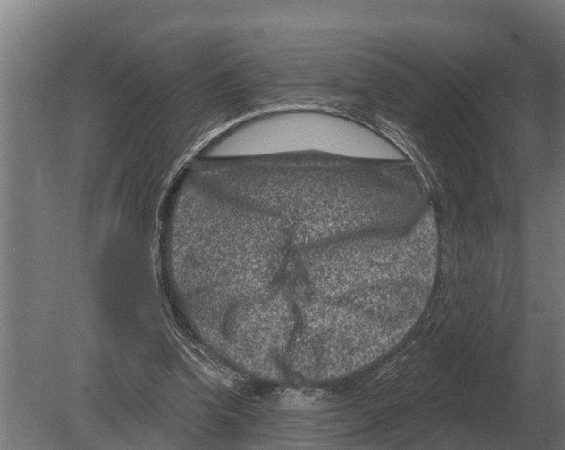 X0000080200346200701051754