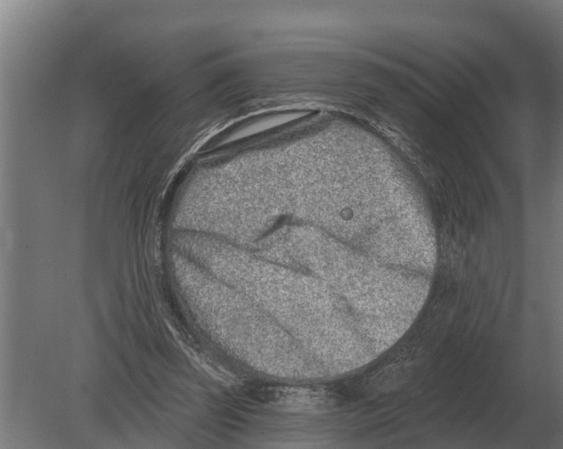 X0000080200347200701051754