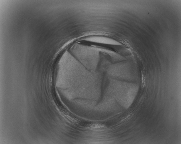 X0000080200348200701051754