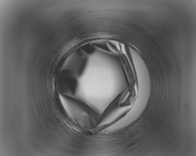 X0000080200350200701051754