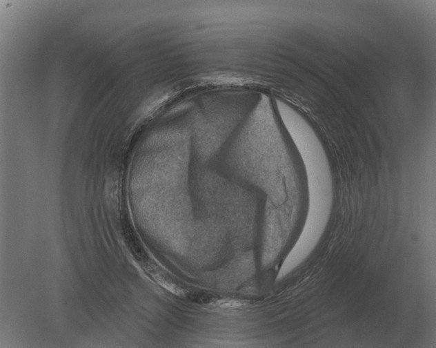 X0000080200352200701051754