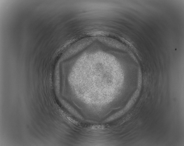 X0000080200353200701051754