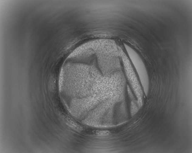 X0000080200355200701051754