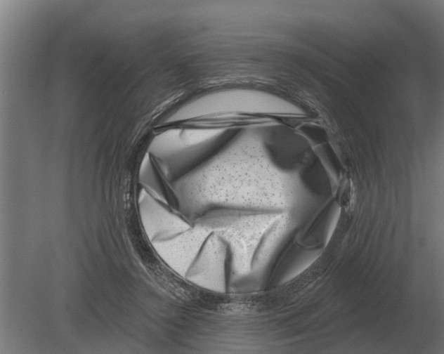 X0000080200356200701051755