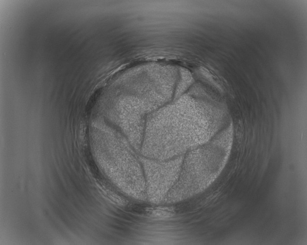 X0000080200359200701051755