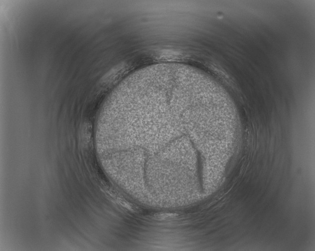 X0000080200361200701051755