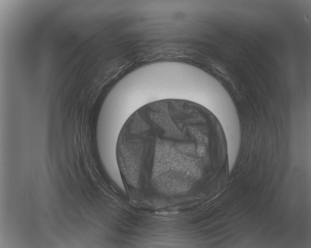 X0000080200362200701051755