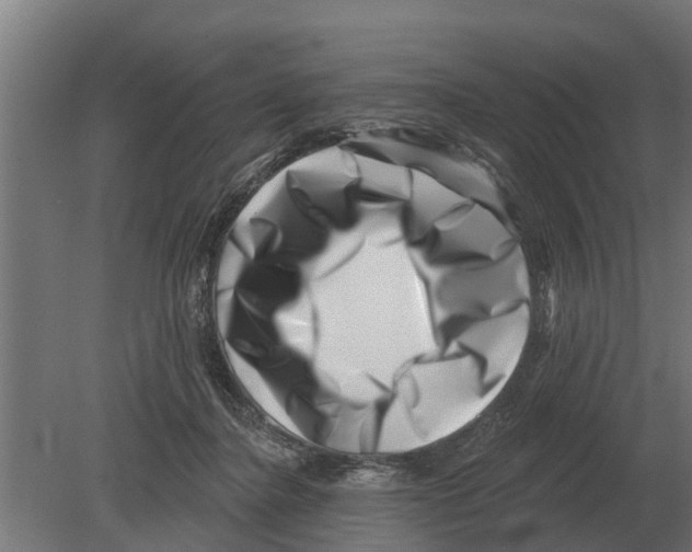 X0000080200364200701051755