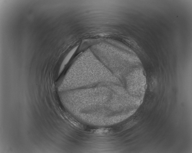 X0000080200366200701051755