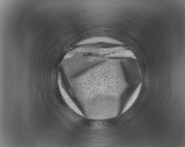 X0000080200372200701051755