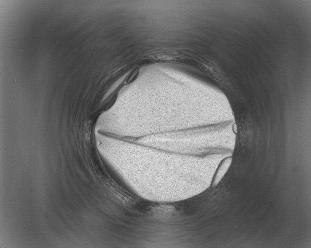 X0000080200374200701051755