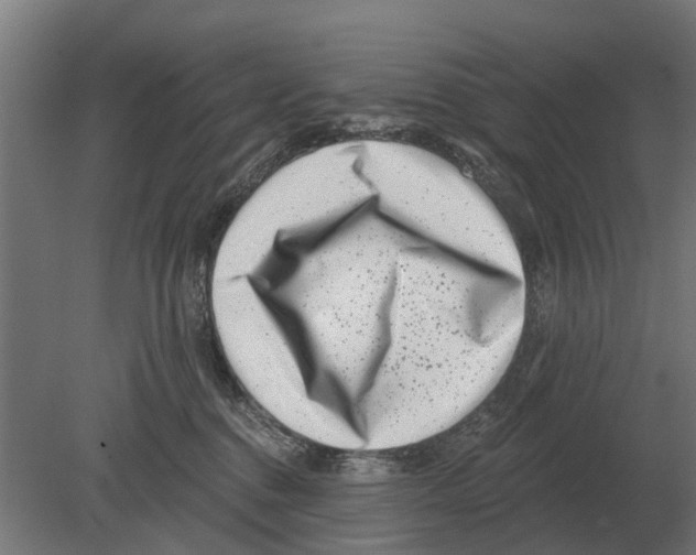 X0000080200376200701051755