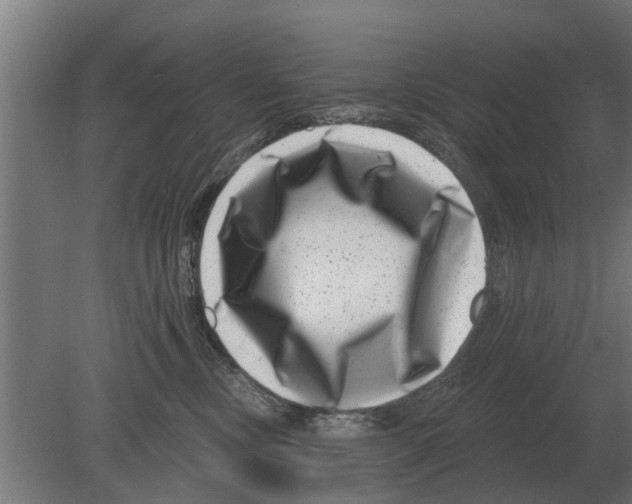 X0000080200378200701051755