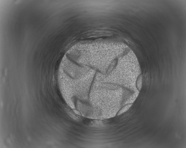 X0000080200381200701051755