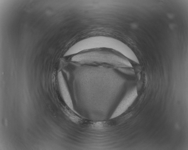 X0000080200382200701051755