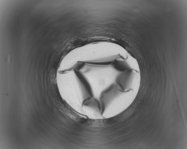 X0000080200384200701051755