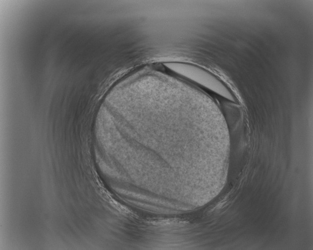 X0000080200385200701051754