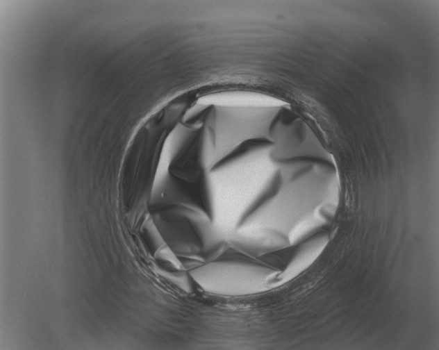 X0000080200388200701051754