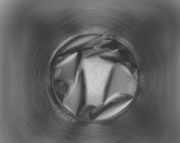 X0000080200392200701051754