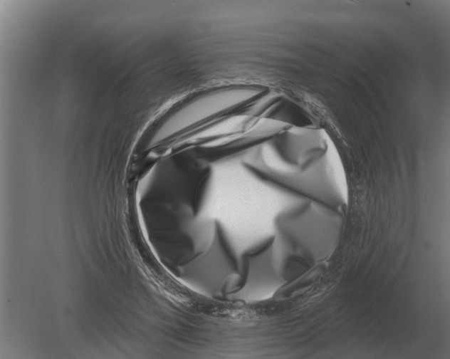 X0000080200395200701051754