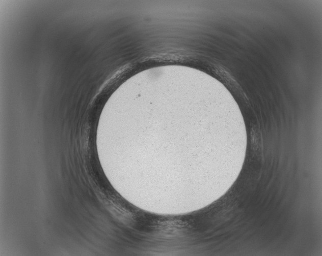 X0000080200396200701051754