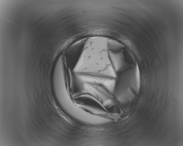 X0000080200397200701051754